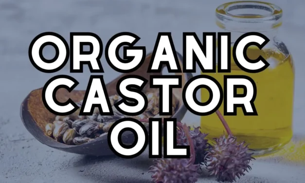 IMPORTANCE OF NATURAL COLD PRESSED organic CASTOR OIL IN YOUR LIFE